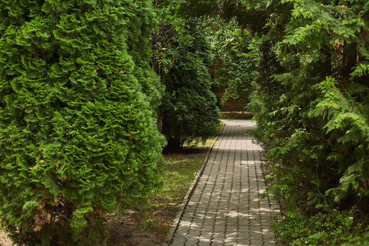 Пансионат для пожилых в м. Щелковская фото 2